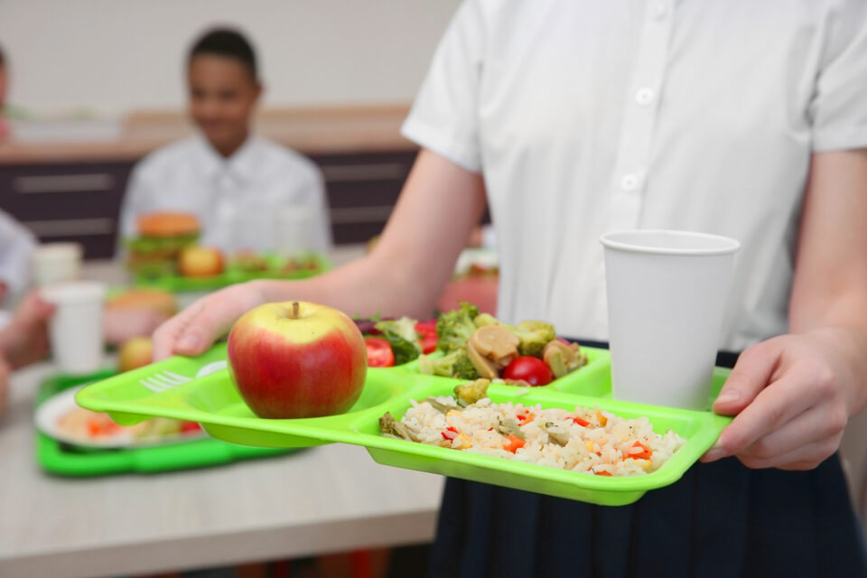 230 escuelas de carolina del norte se benefician con frutas y verduras del programa de USDA